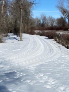 groomed winter train at twin bridges part in eastern idaho.