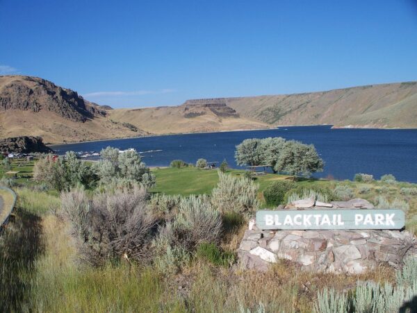 Blacktail_Park_Ririe_Reservoir_Idaho