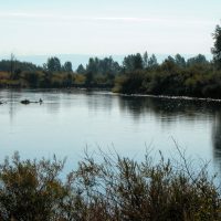 Warm Slough River