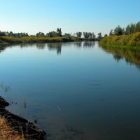 Warm Slough Bend