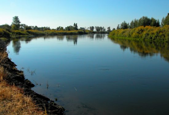 Warm Slough Bend