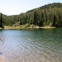 Little Girl walking down packsaddle Lake