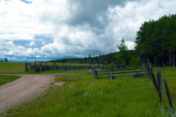 Sharp Right Turn at Corrals