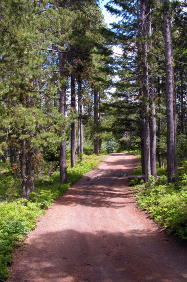 Packsaddle Lake smooth road