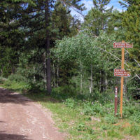 Packsaddle Lake National Forest Signs