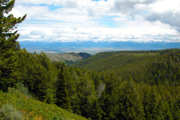 View of Mountain Range