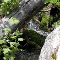 Small waterfall and stream