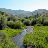 Lewis and Clark Byway Creek