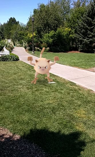 screenshot of Pokémon Go app.