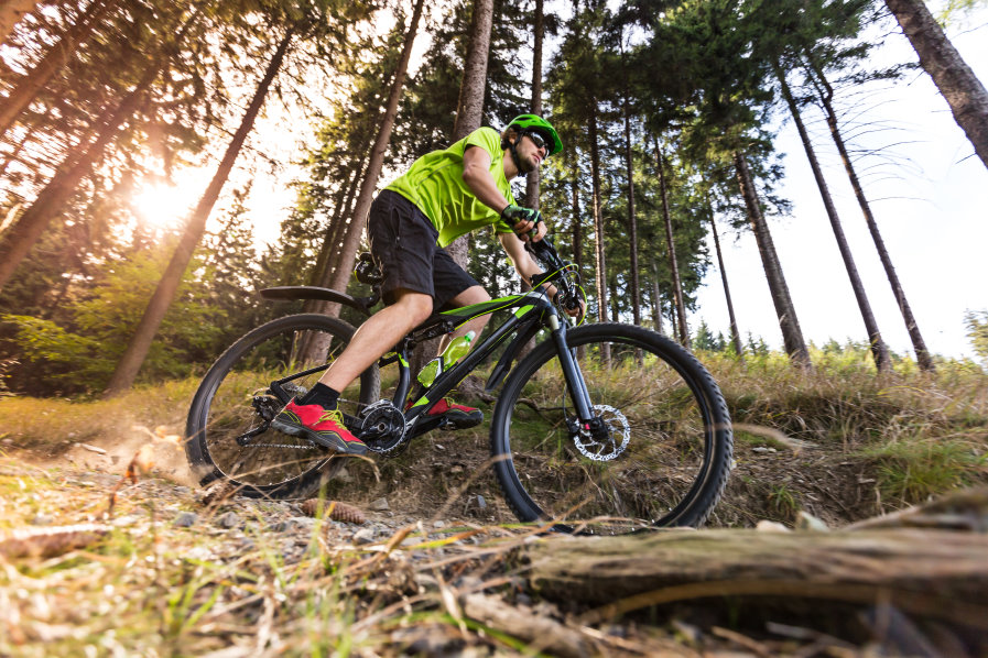 Mountain biker speeding through forest path.