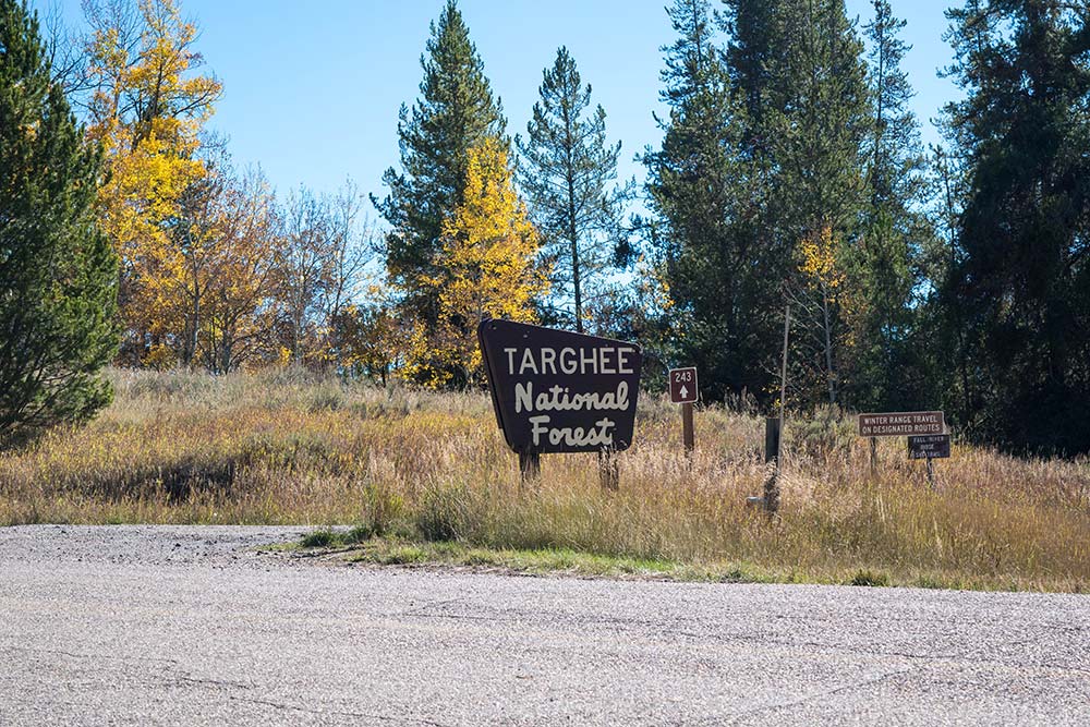 targhee national forest sign