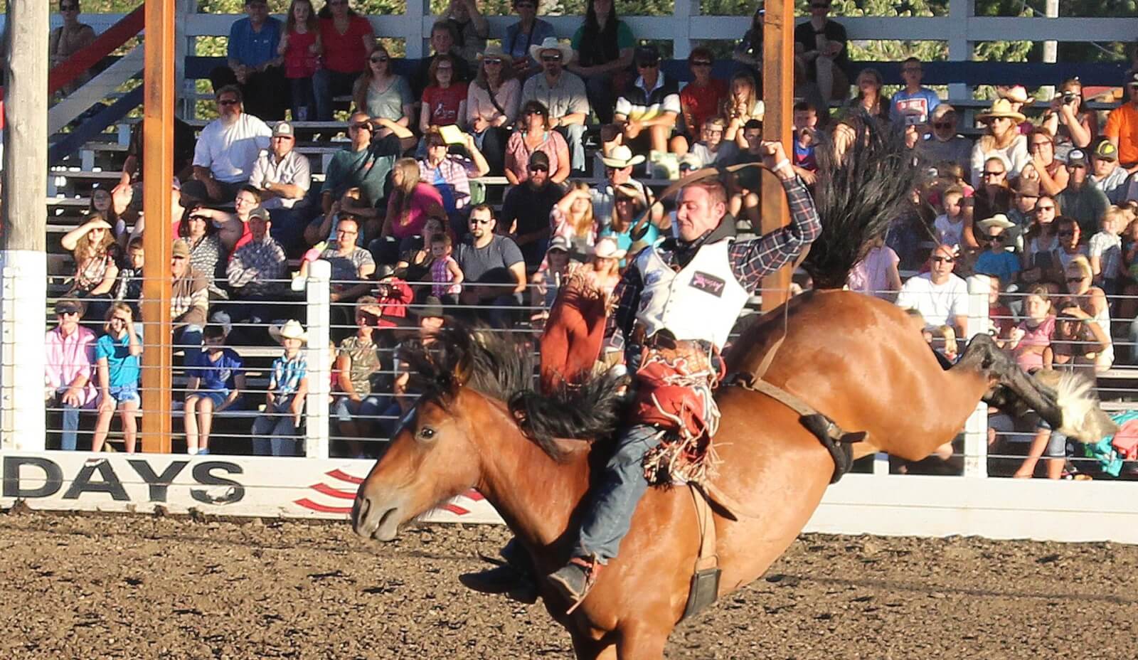 Madison County Fair 2017 Rexburg Online