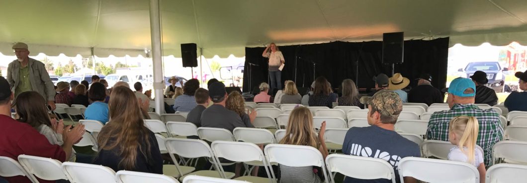 photo of story teller festival